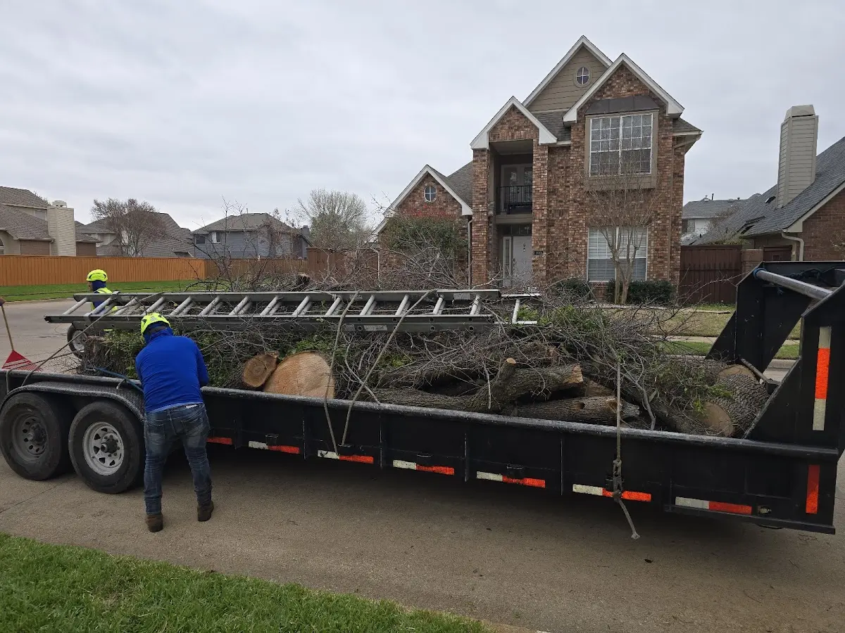 Expert Lot Clearing with proper safety equipment in Alta